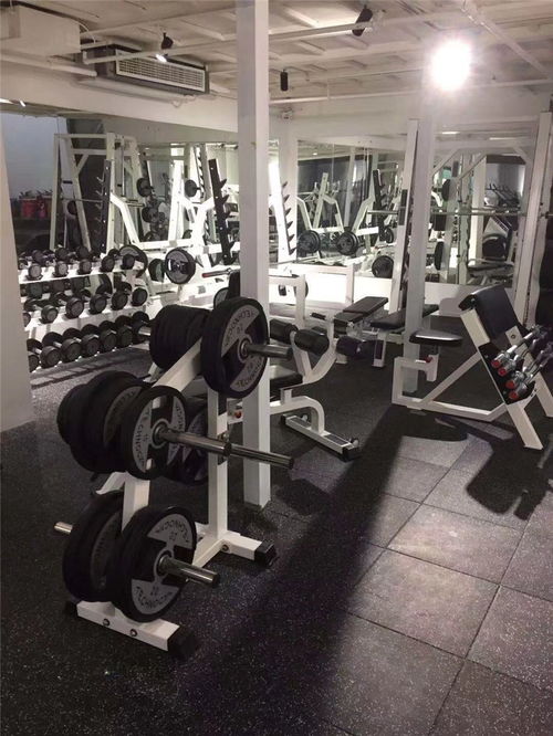 定制力量健身器材 科学使用方法与专业厂商选择指南